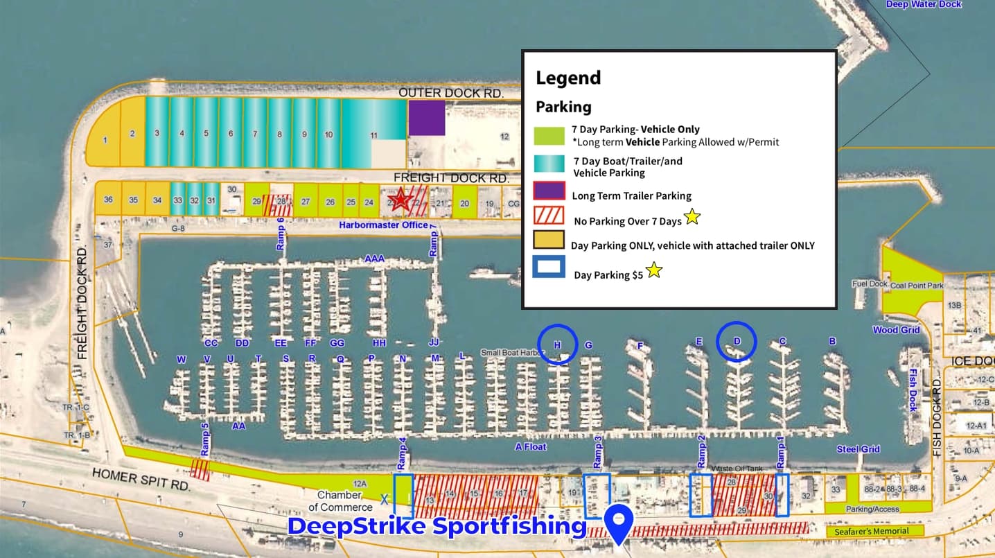 DeepStrike Sportfishing Trip Checklist